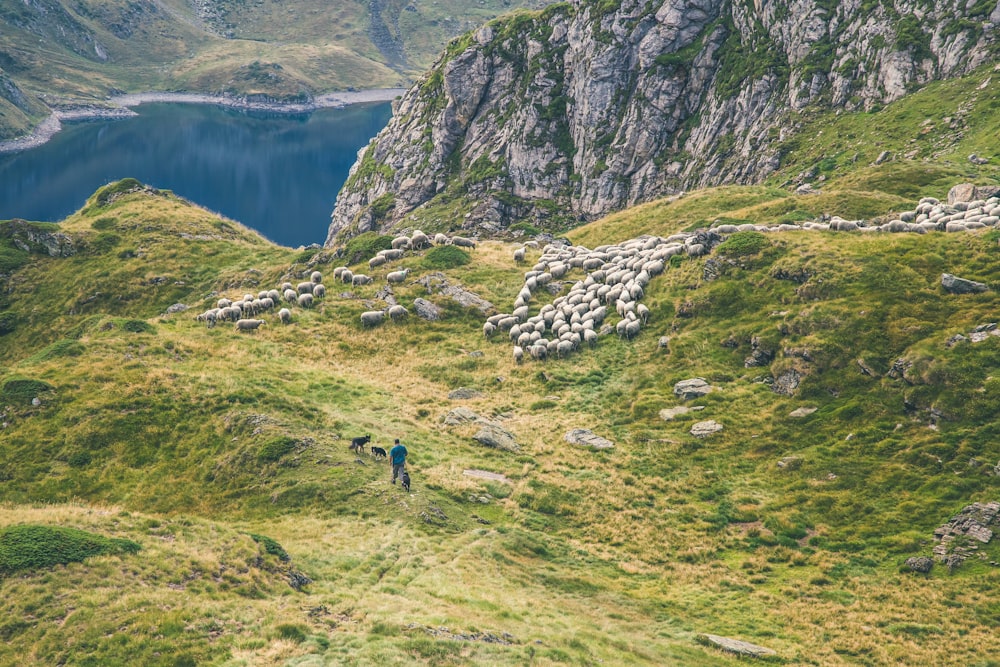 Mann steht in der Nähe der Klippe