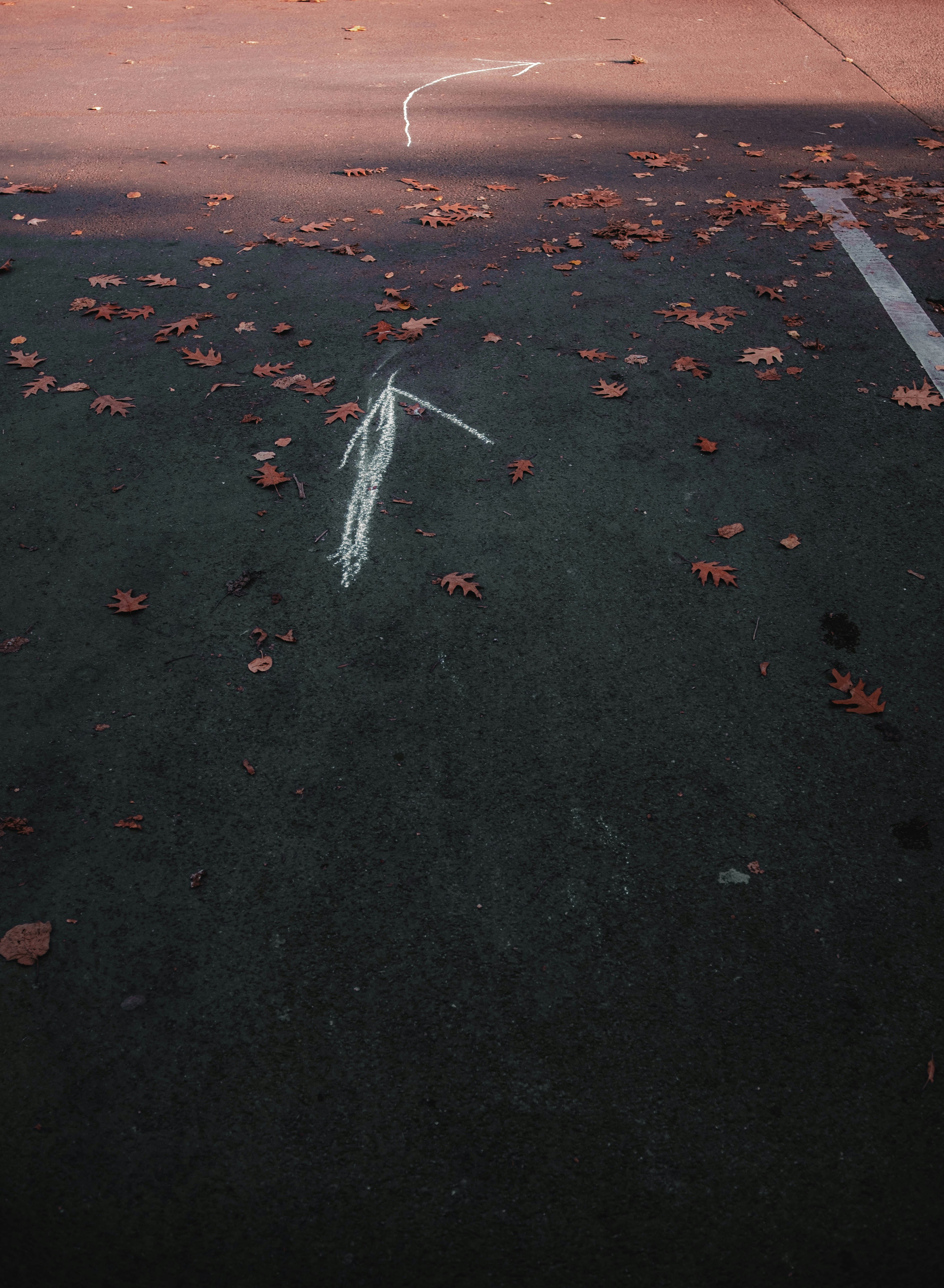 Photo by danylo_in_nl