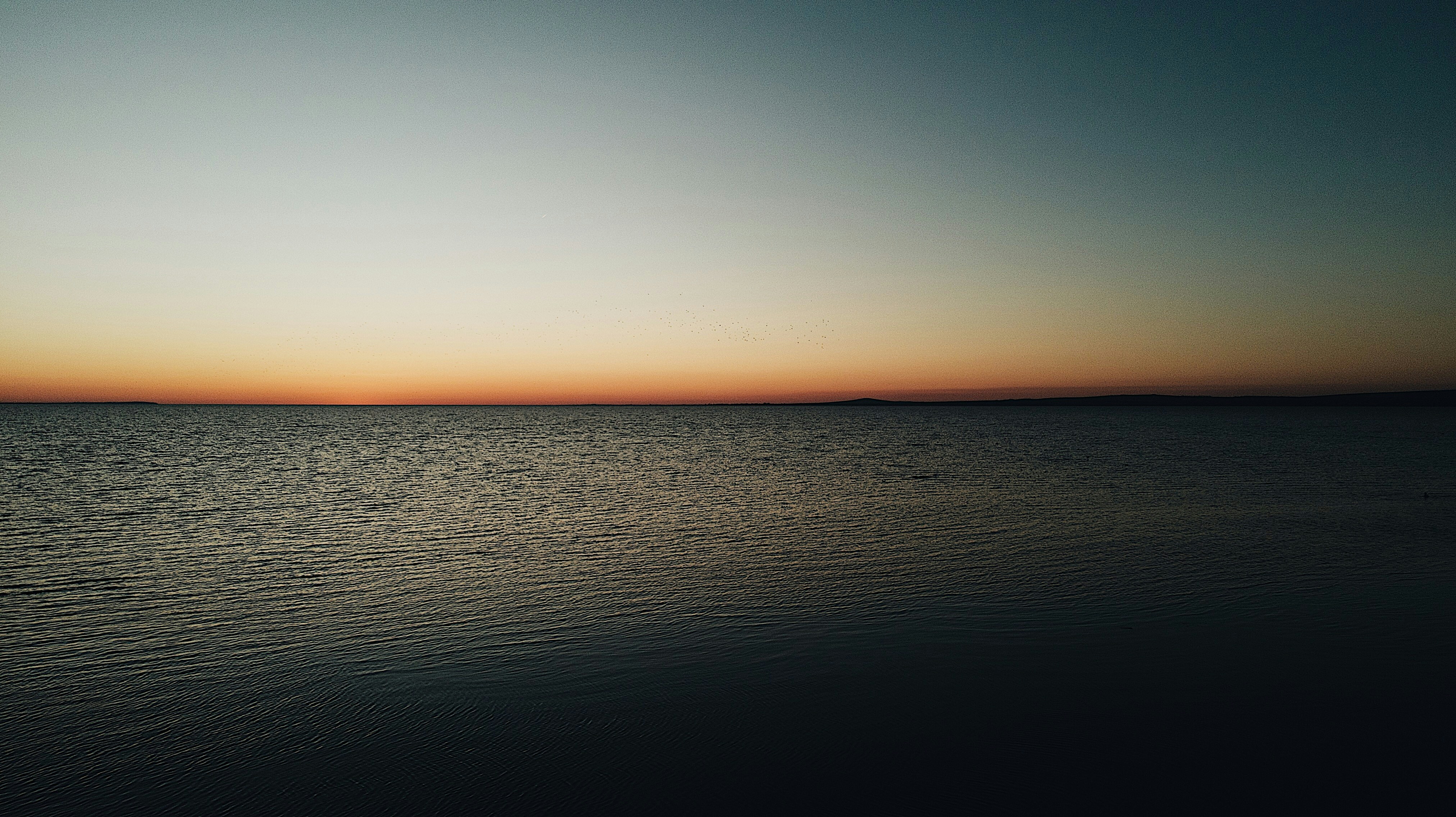 Photo by artcoastdesign