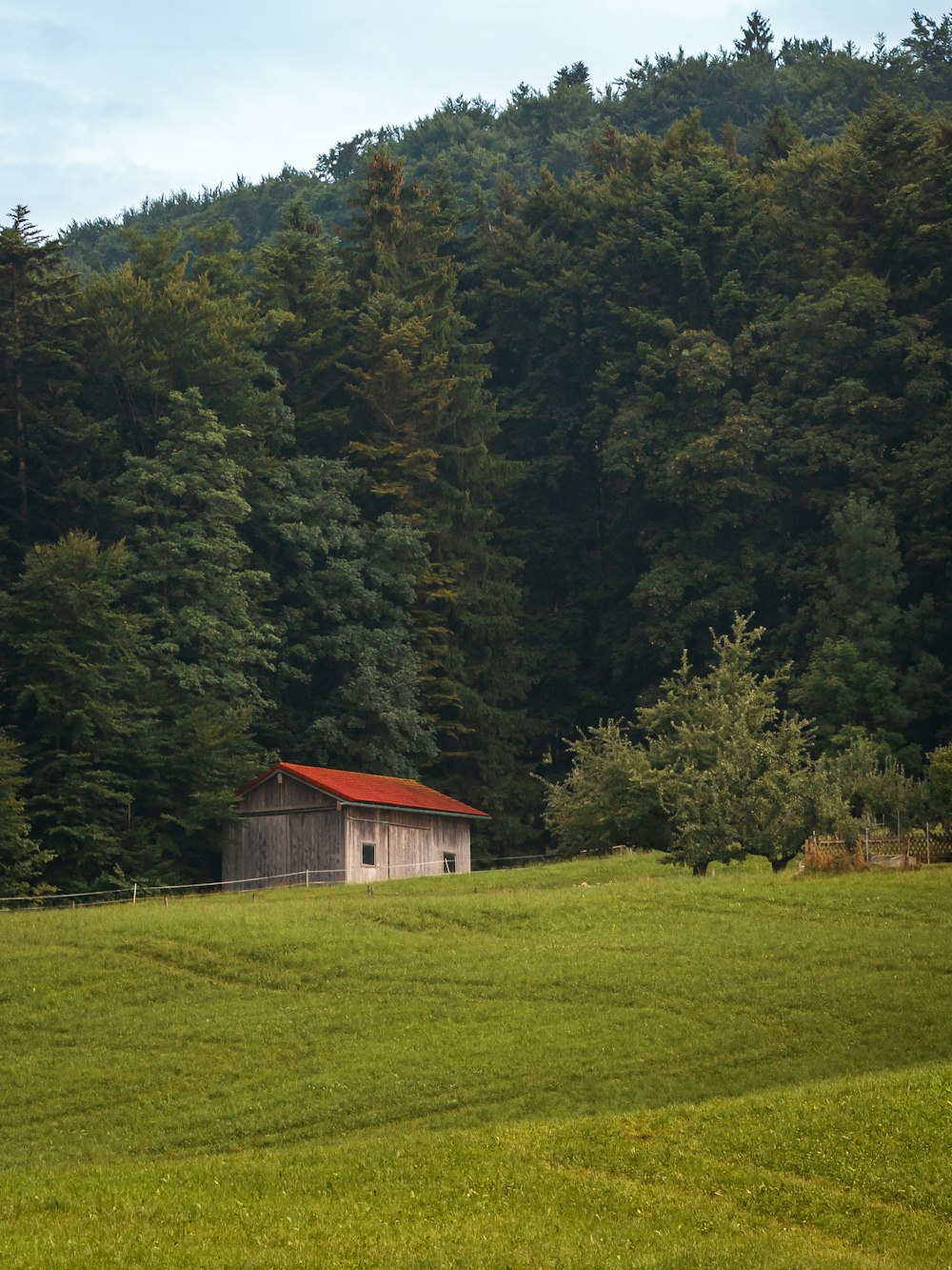 green field