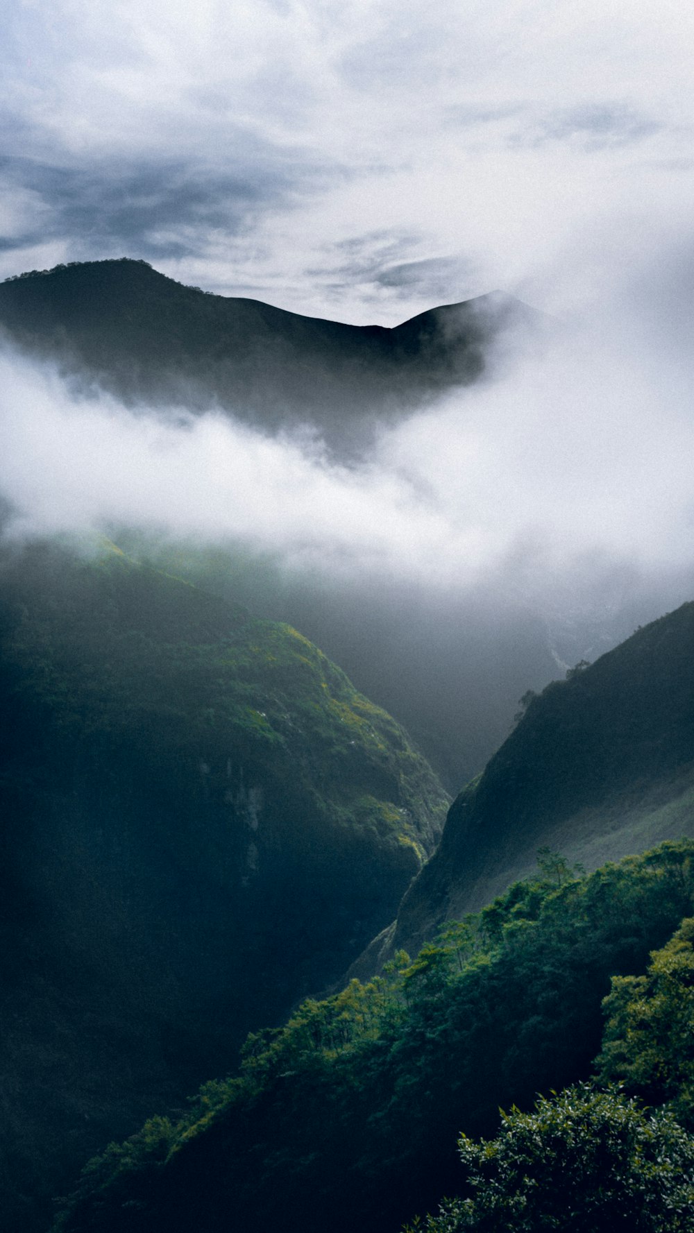 green grass and tree covered mountains during day