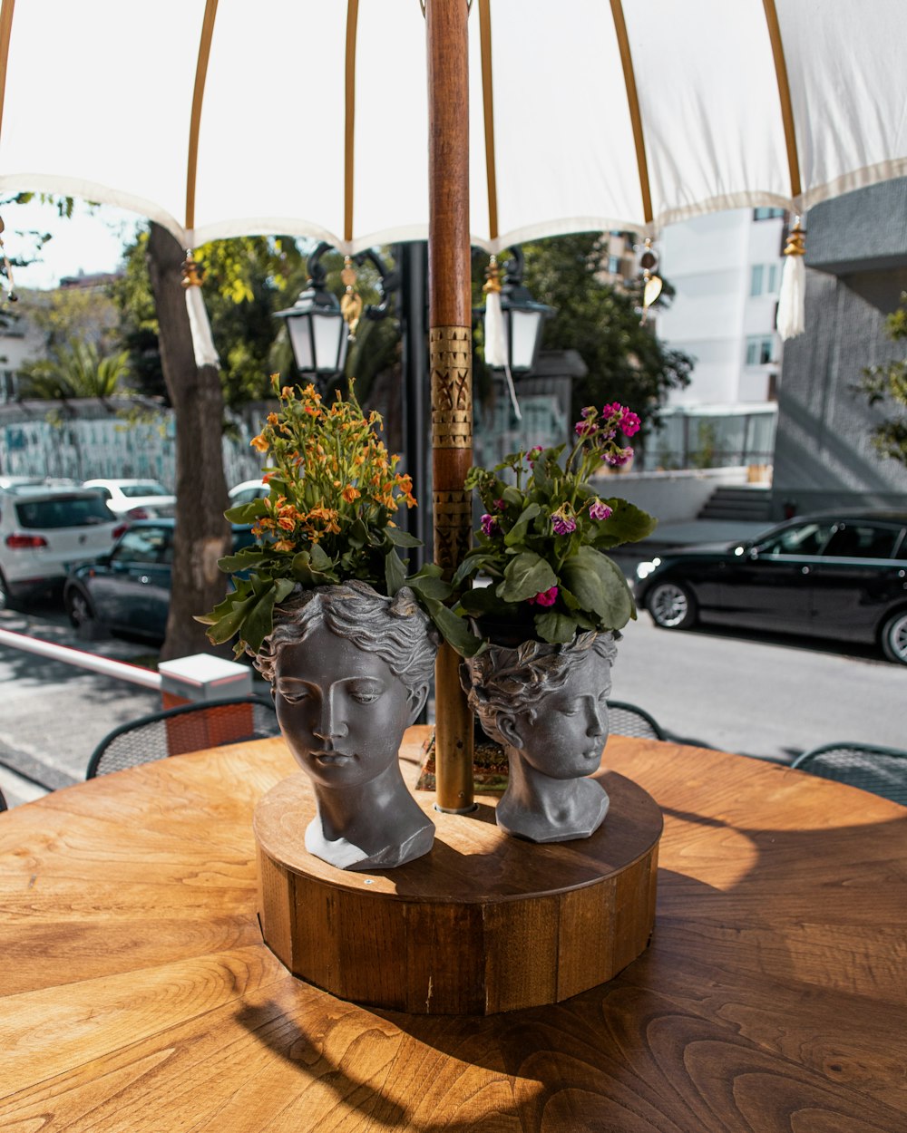 potted plants on table