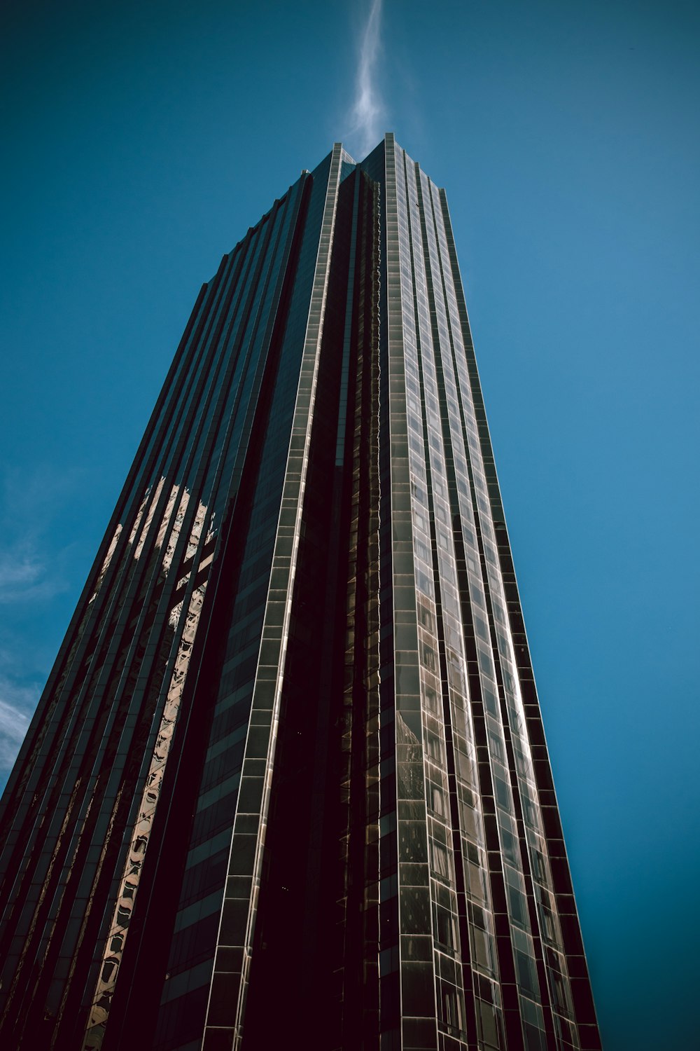 low-angle photography of curtain wall high-rise building