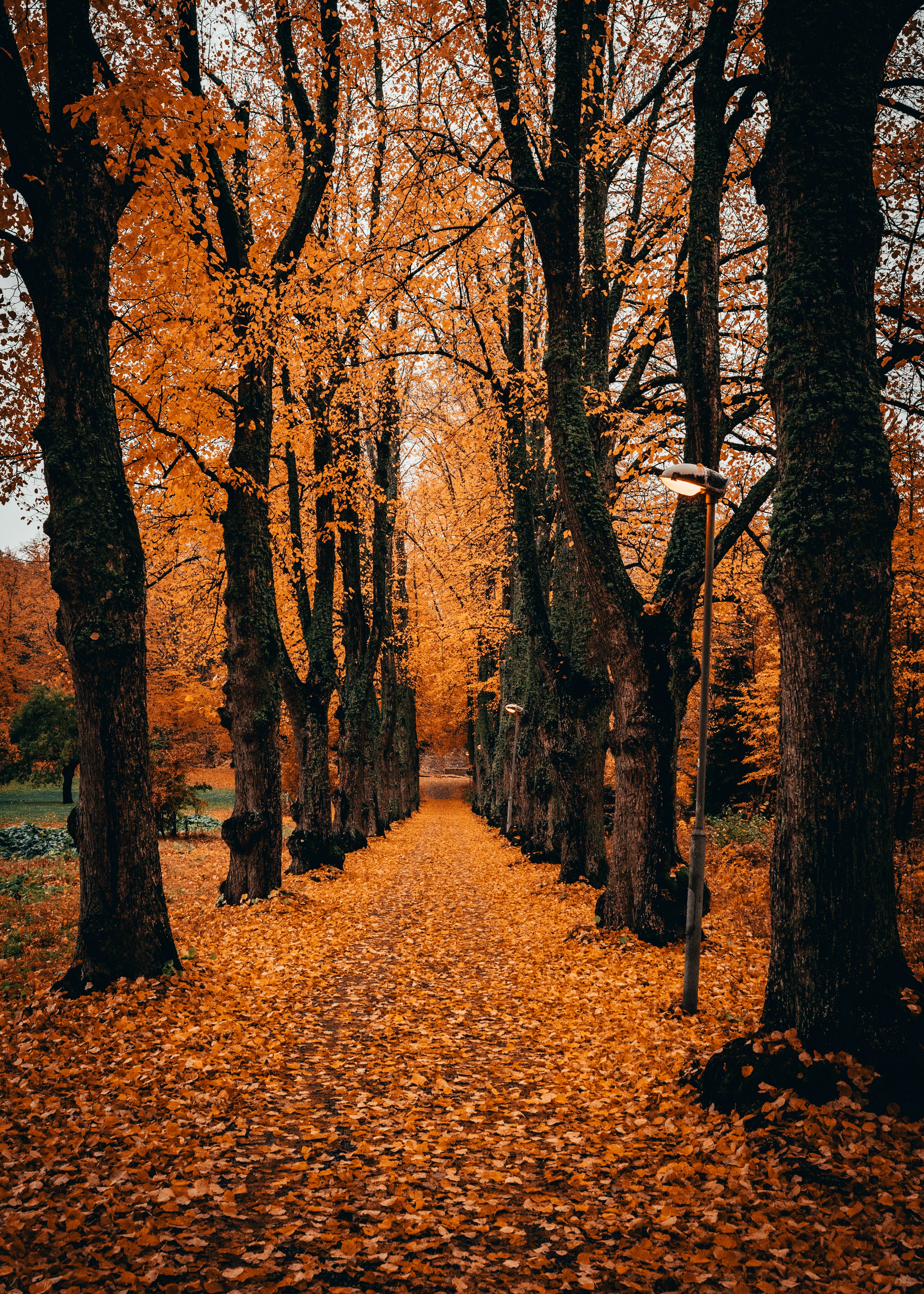 Photo by emilwidlund