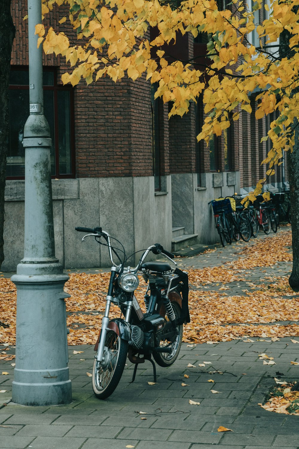 black pedal moped beside grey psot