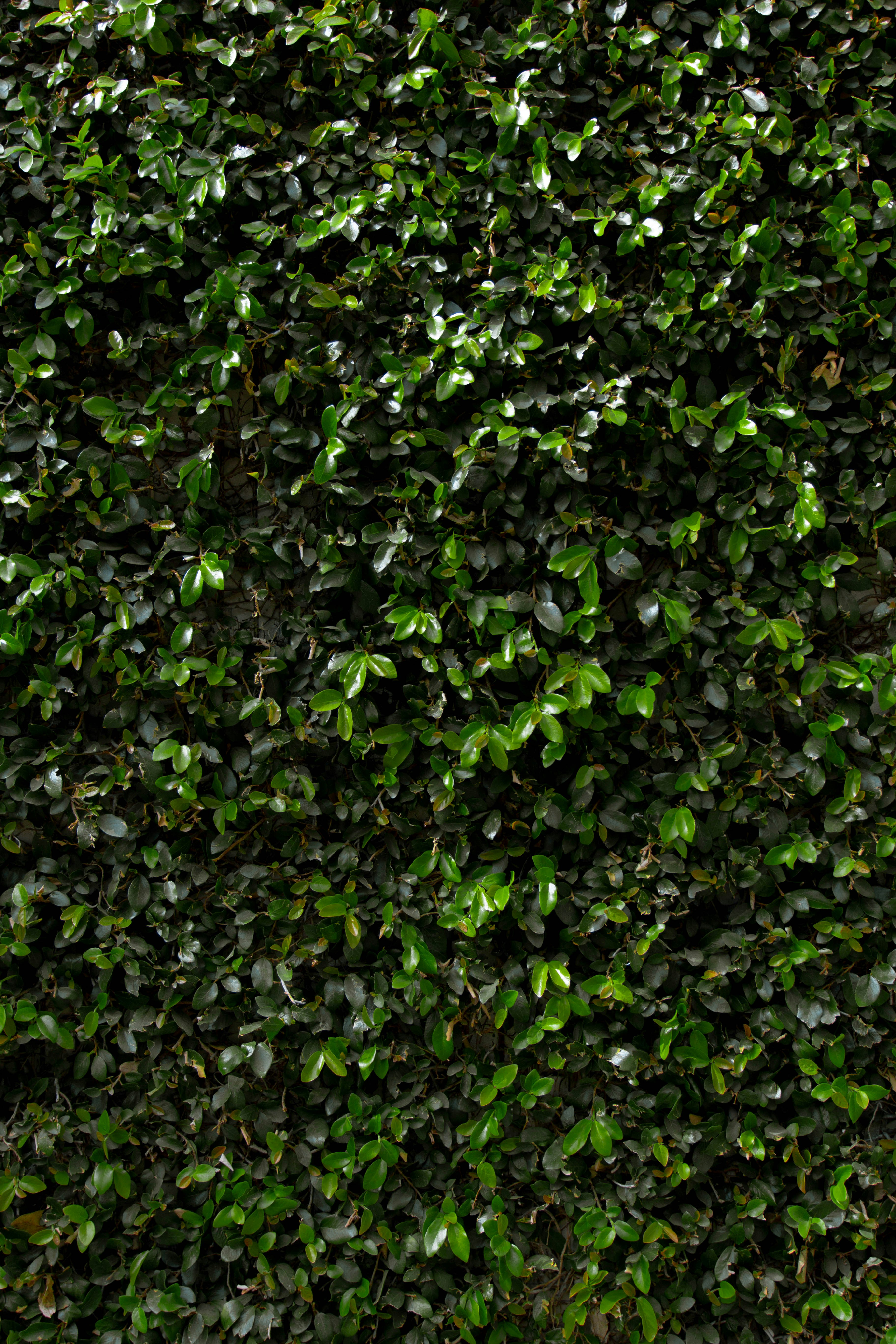 Photo by relentlessjpg