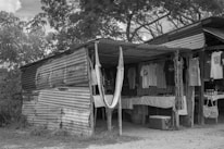 A rustic outdoor shop with corrugated metal walls and roof is shaded by trees. Inside, various t-shirts hang on display, along with a few other items such as bags and a hammock. The surroundings are natural with vegetation visible in the background.
