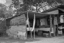 A rustic outdoor shop with corrugated metal walls and roof is shaded by trees. Inside, various t-shirts hang on display, along with a few other items such as bags and a hammock. The surroundings are natural with vegetation visible in the background.