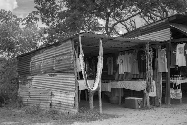 A rustic outdoor shop with corrugated metal walls and roof is shaded by trees. Inside, various t-shirts hang on display, along with a few other items such as bags and a hammock. The surroundings are natural with vegetation visible in the background.