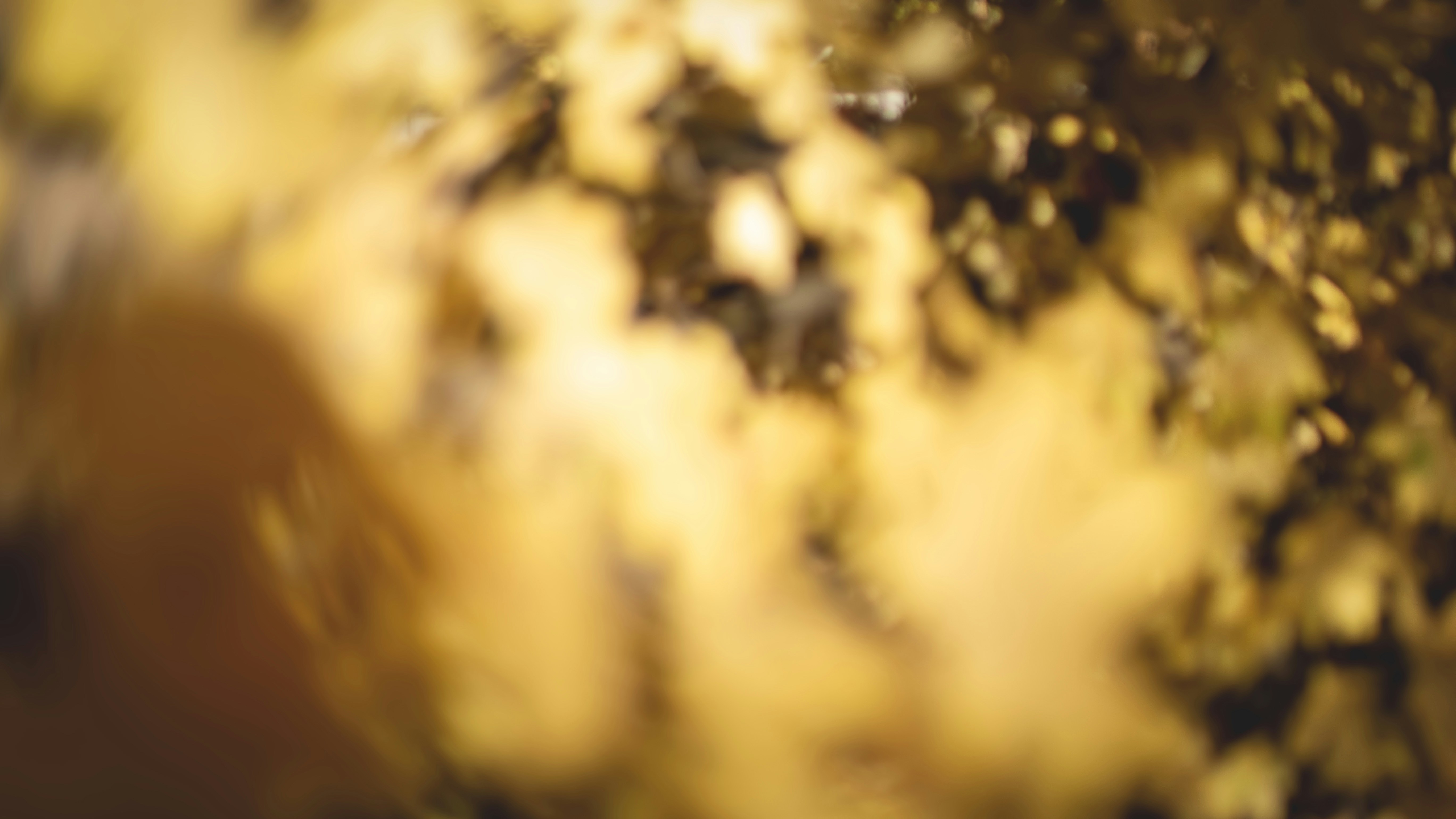 Photo by mark_burnett