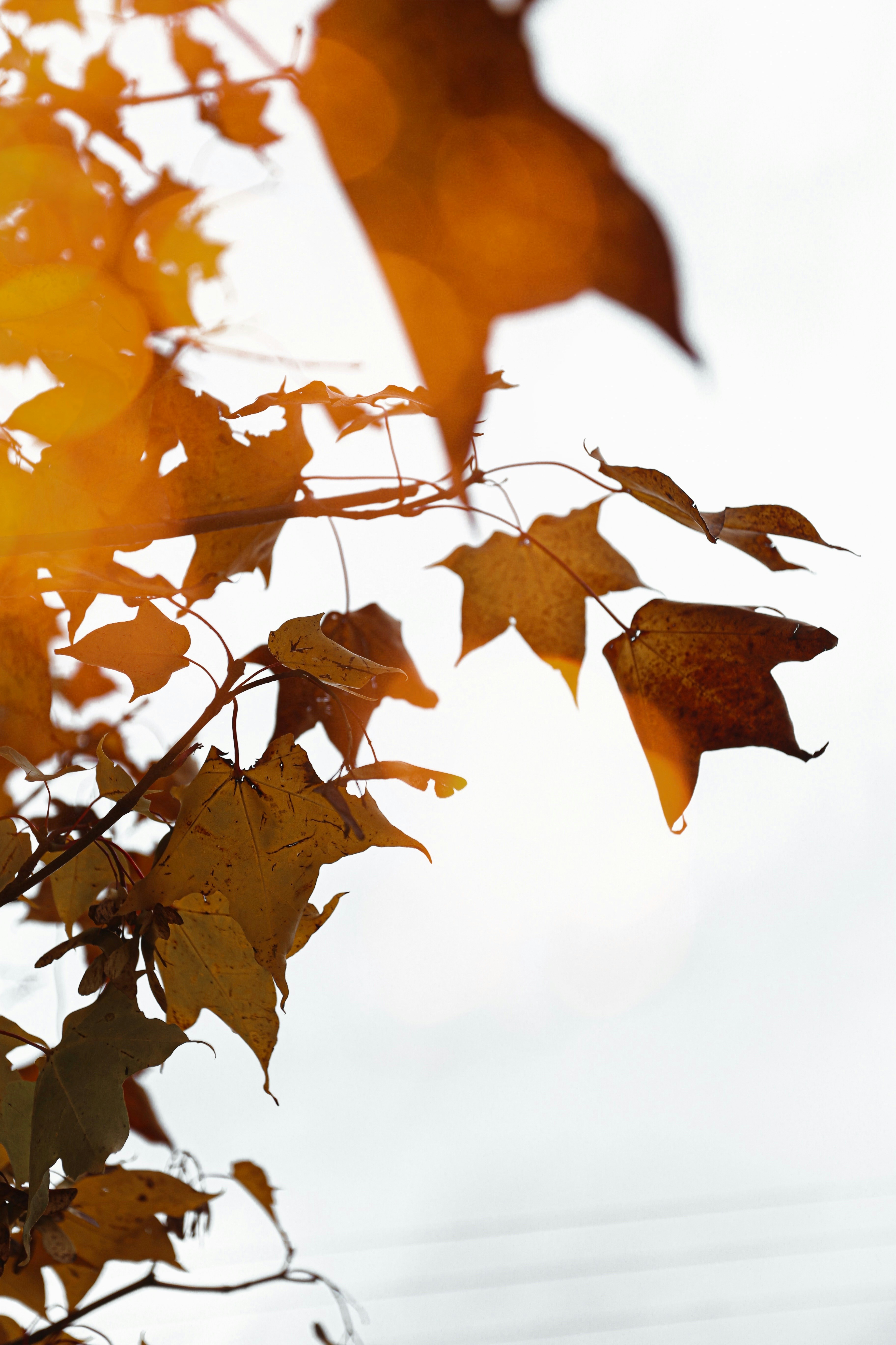 Photo by sarahstewart