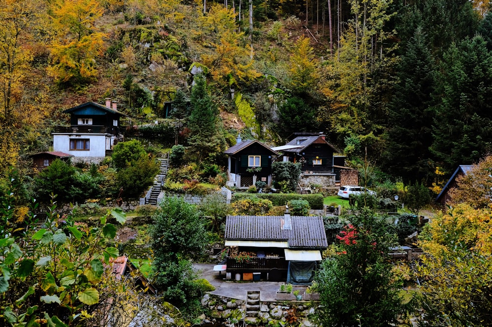 houses surrounded with tall and green trees during daytime