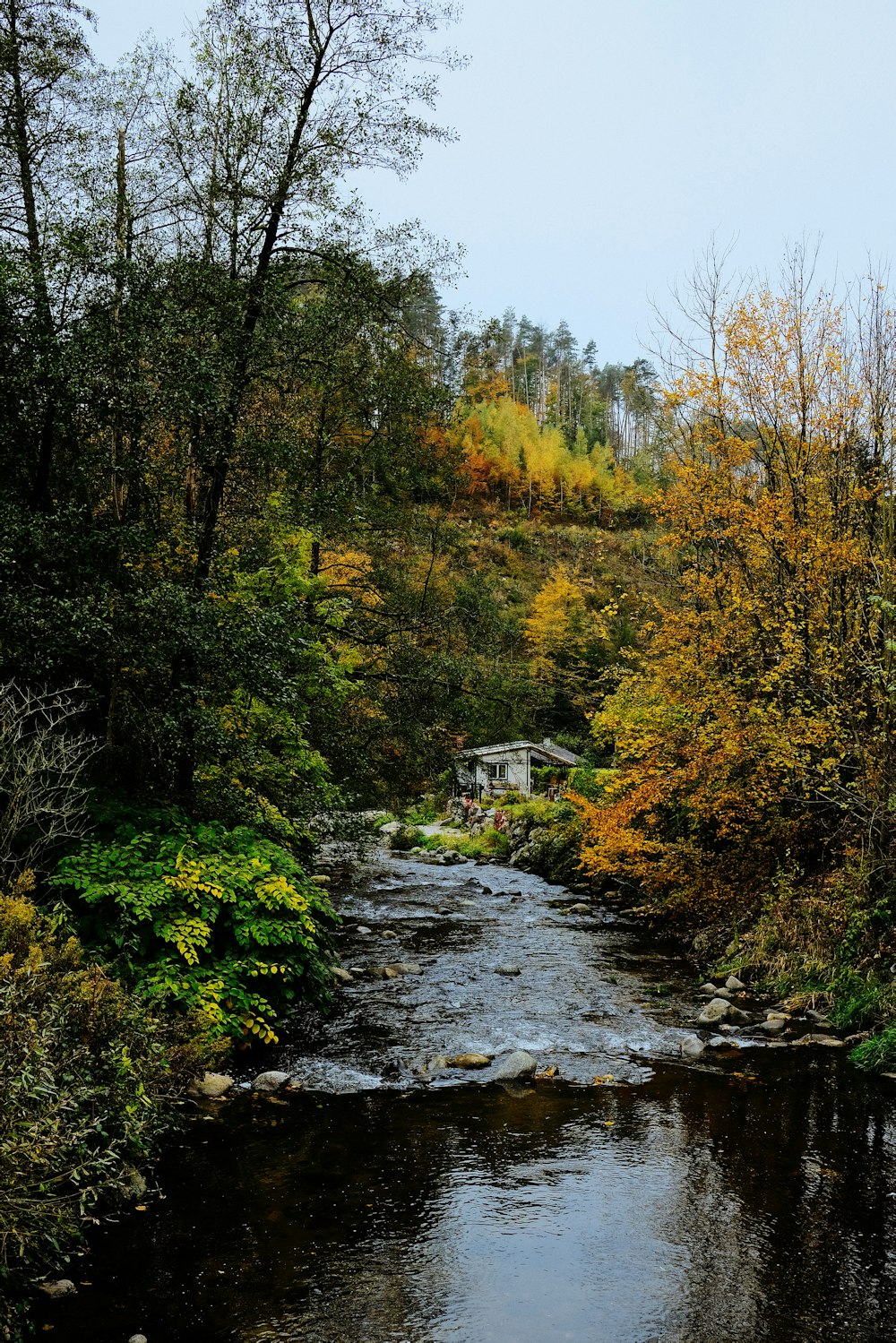 rivière sous le ciel bleu