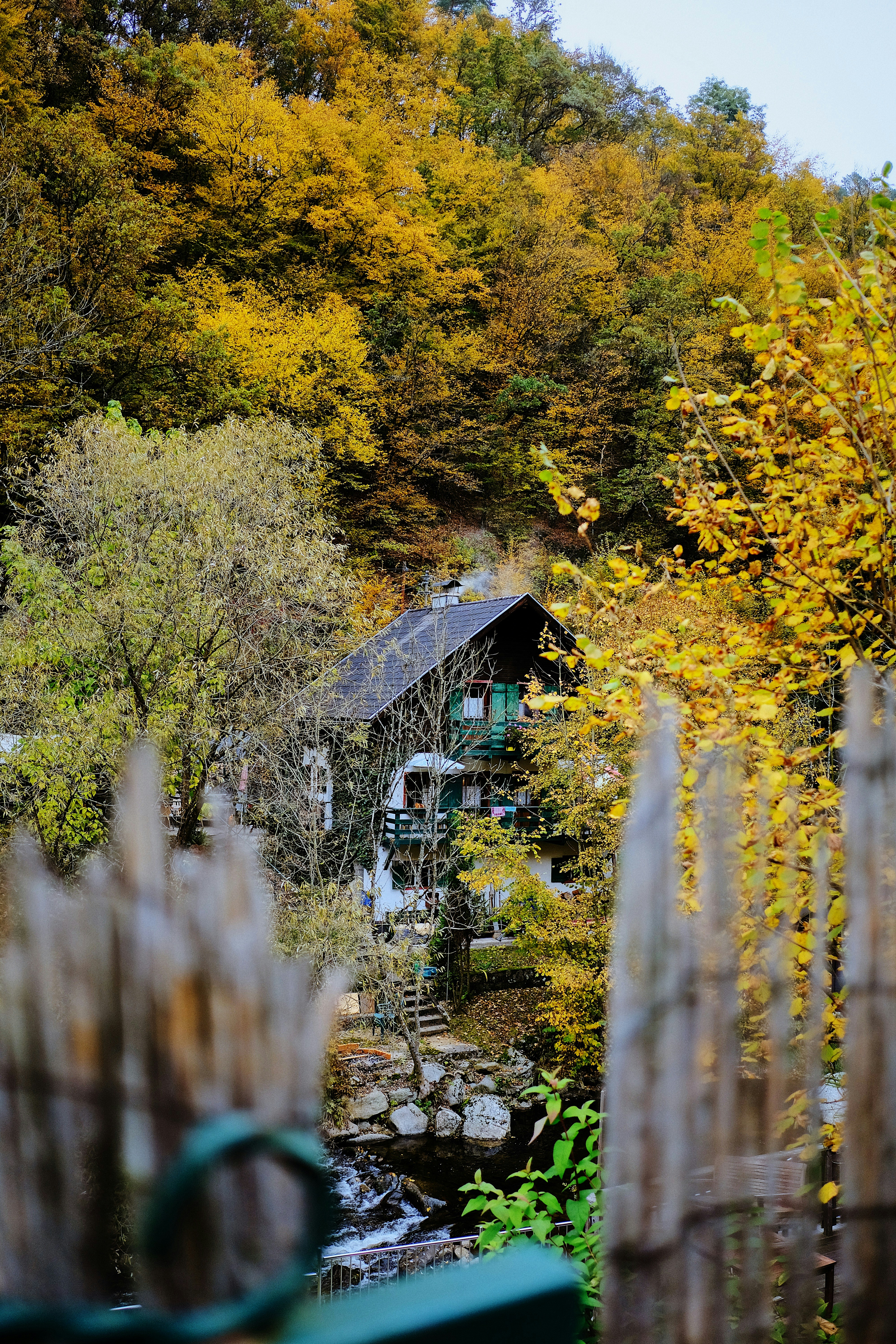 Photo by davidhellmann