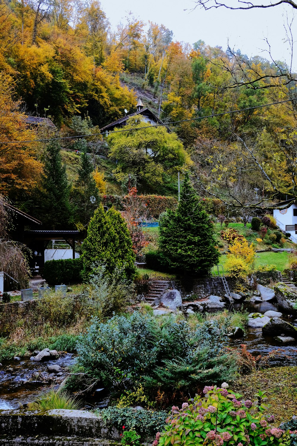 green trees