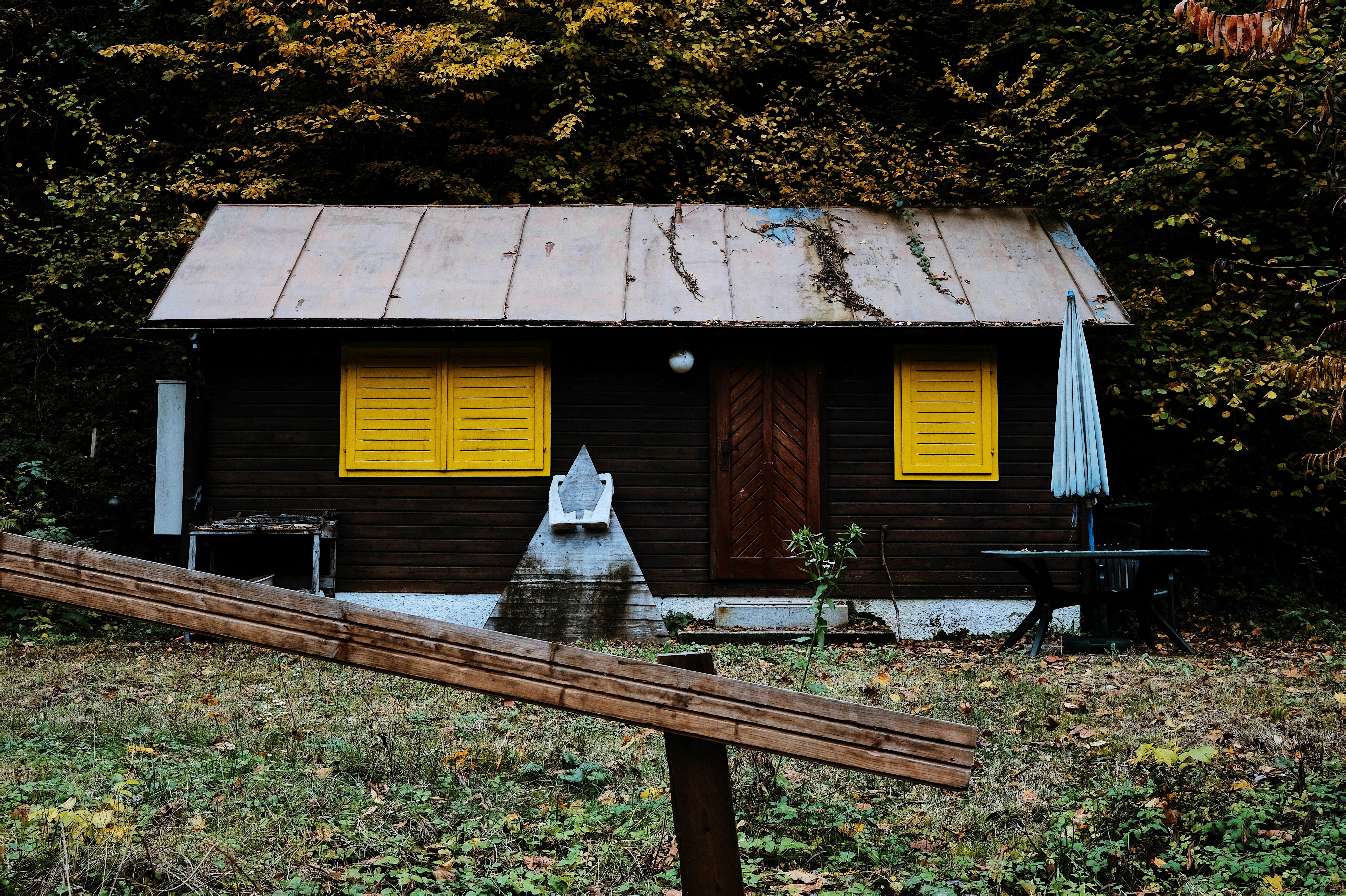 green trees beside house