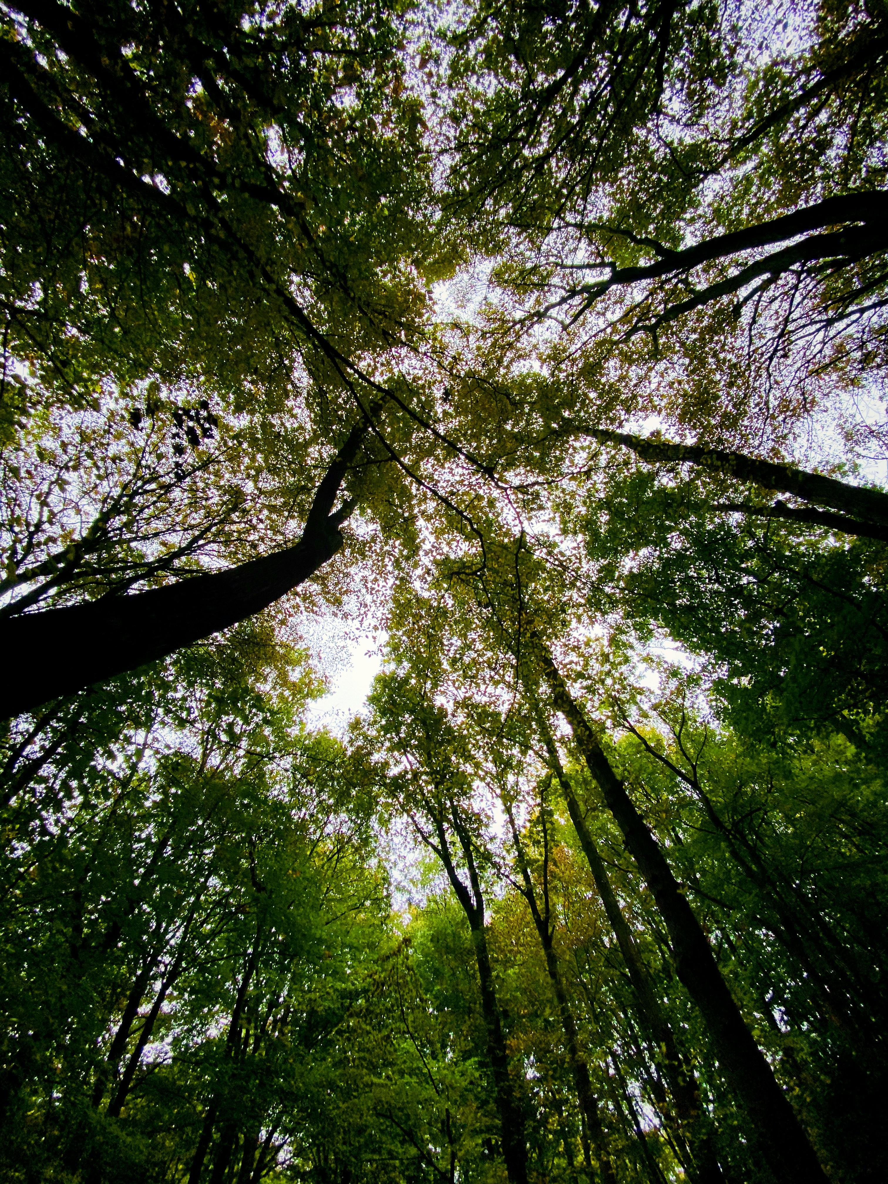 Photo by jurrehoutkamp