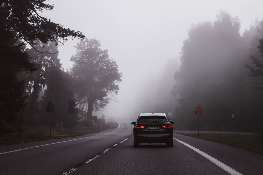 black vehicle on road between trees during daytime