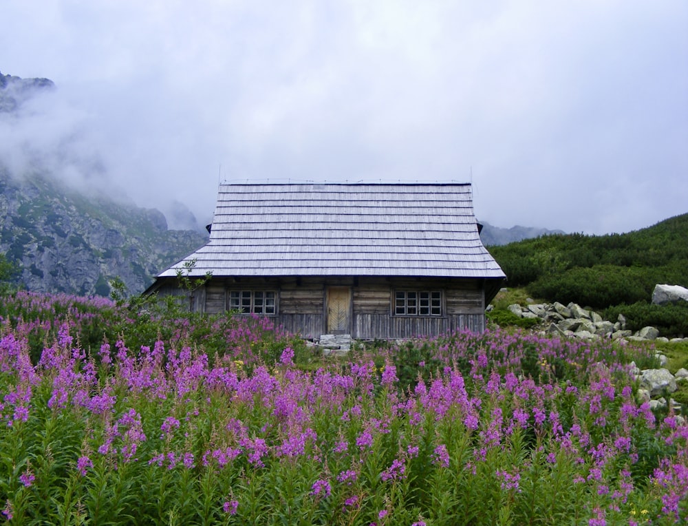 cabin near pink flowers during day