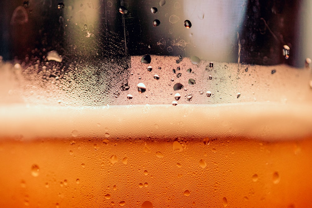 Un primer plano de un vaso de cerveza con gotas de agua