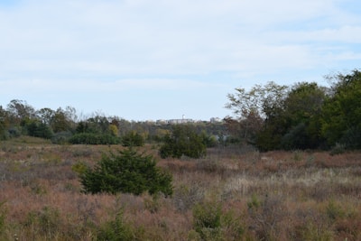 Green open plot with distant cityscape under clear sky