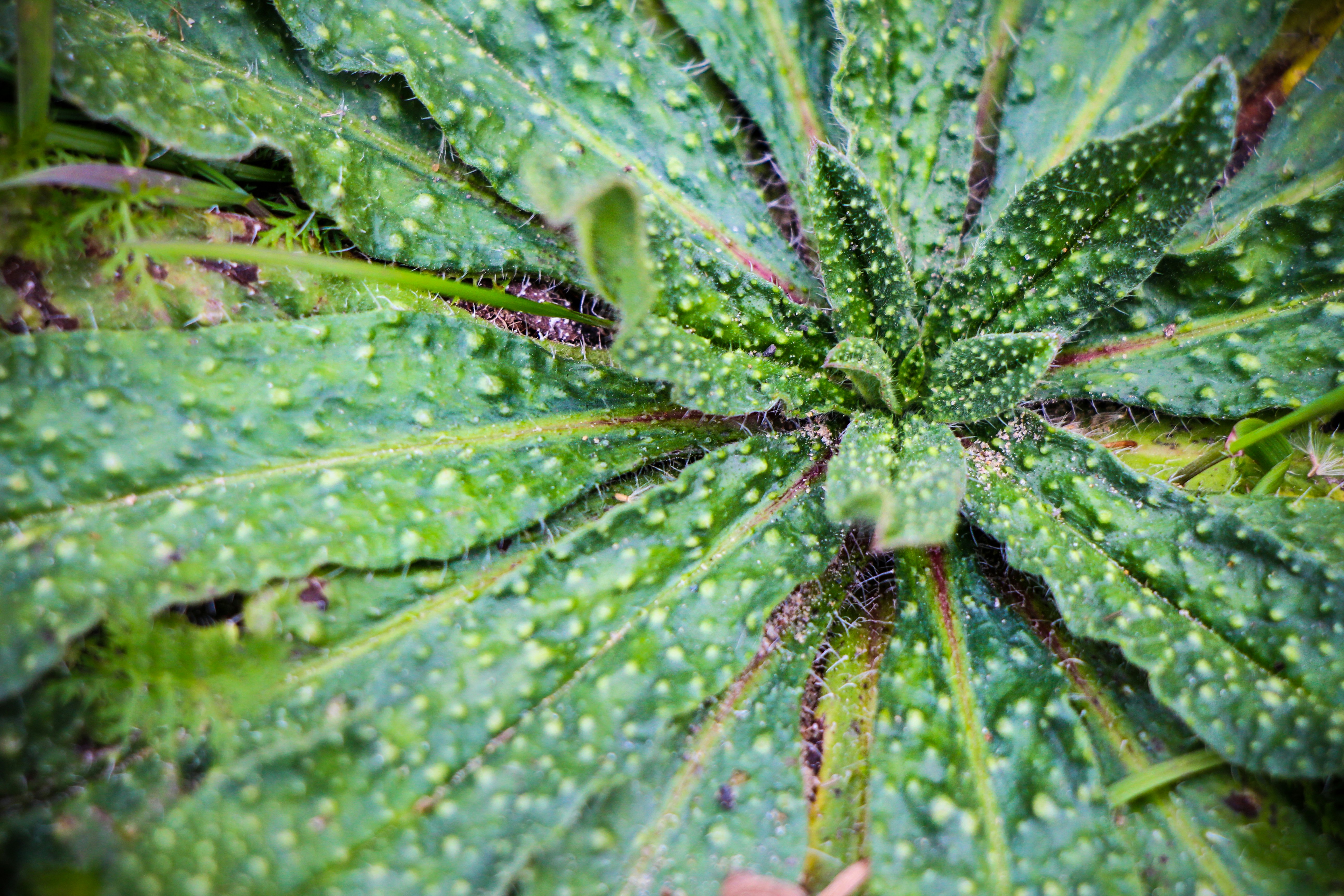 Photo by doudoune1234