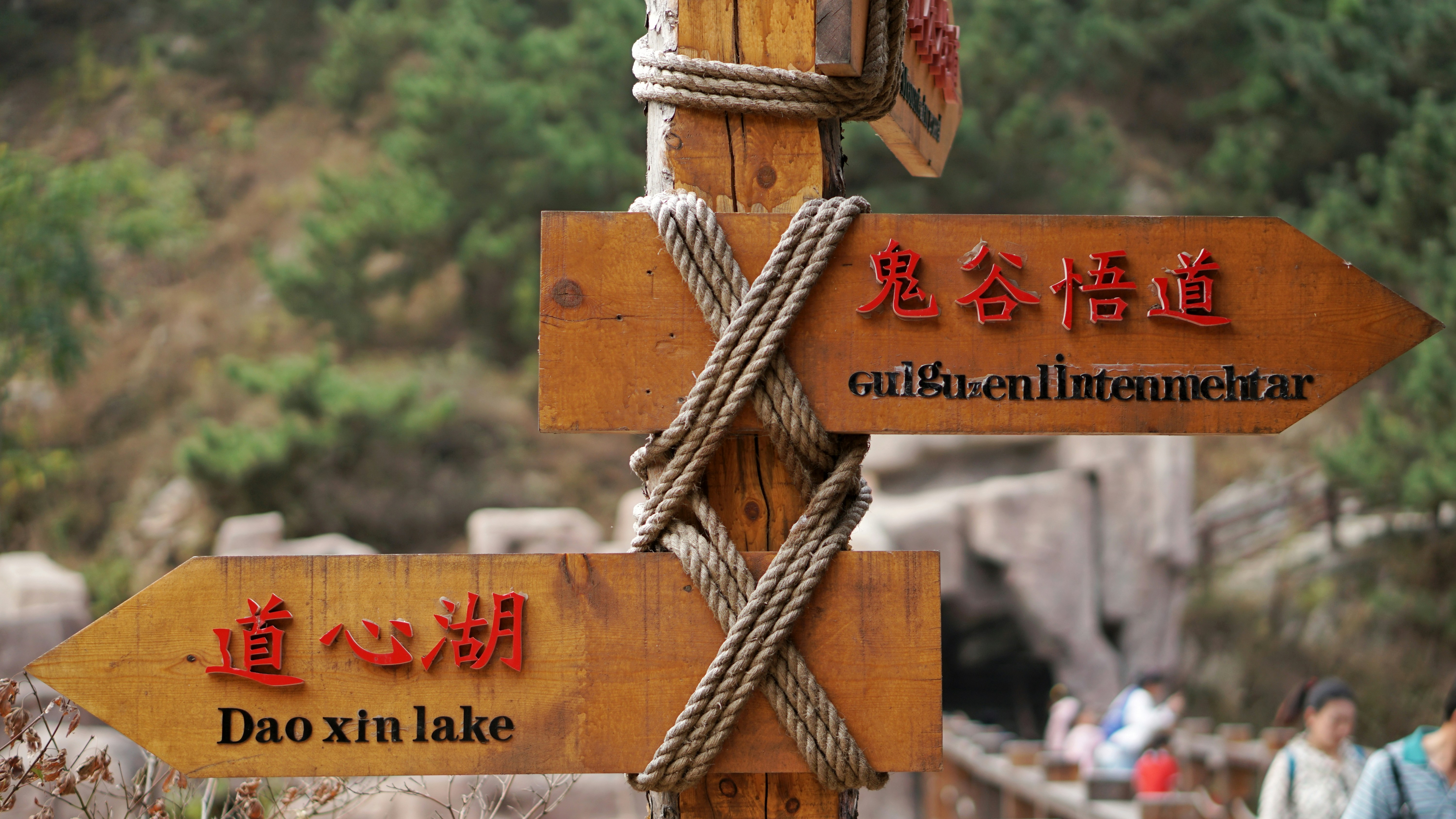 漠河本地旅行社推荐