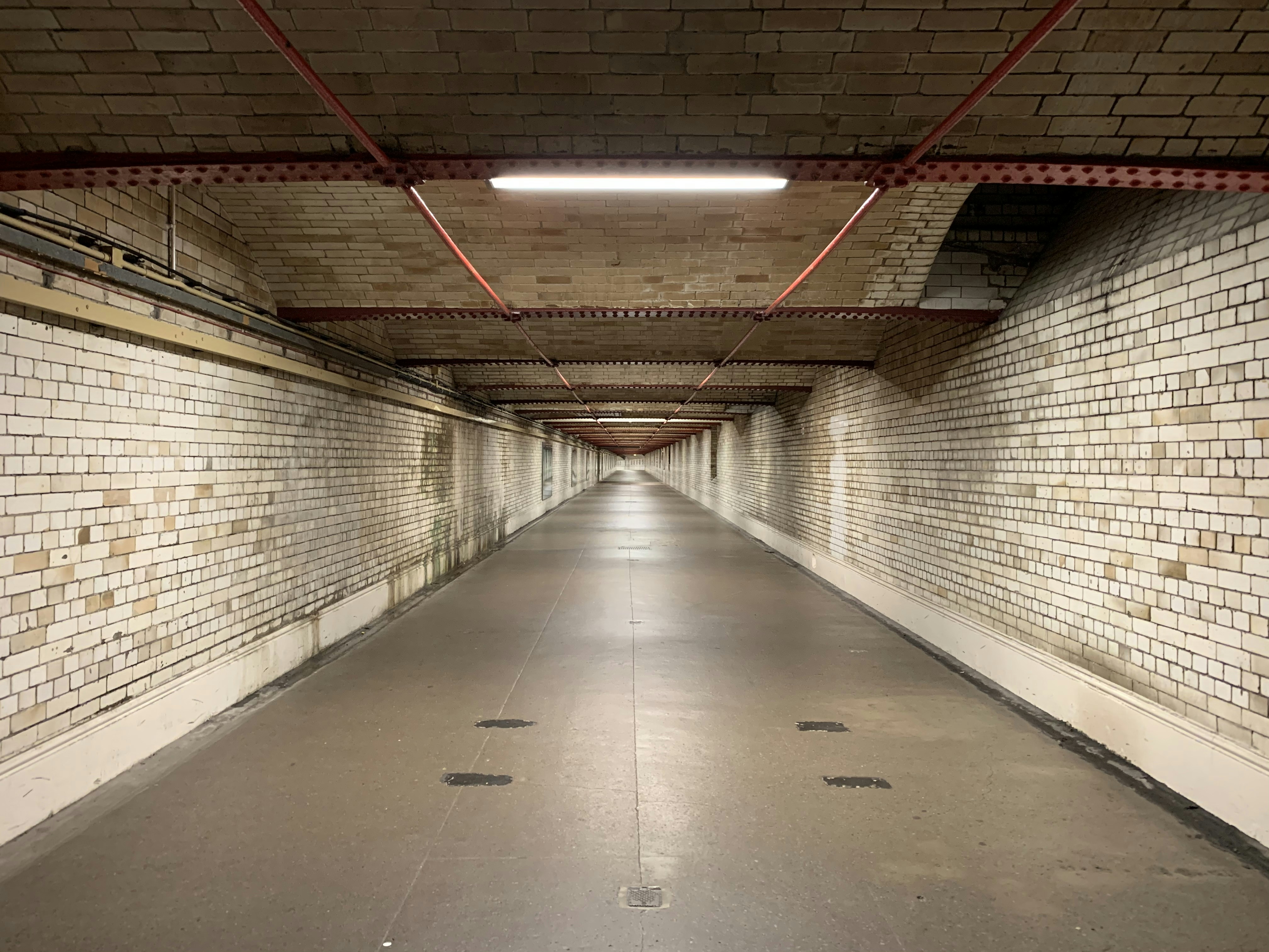 Photo by cxfromimperial