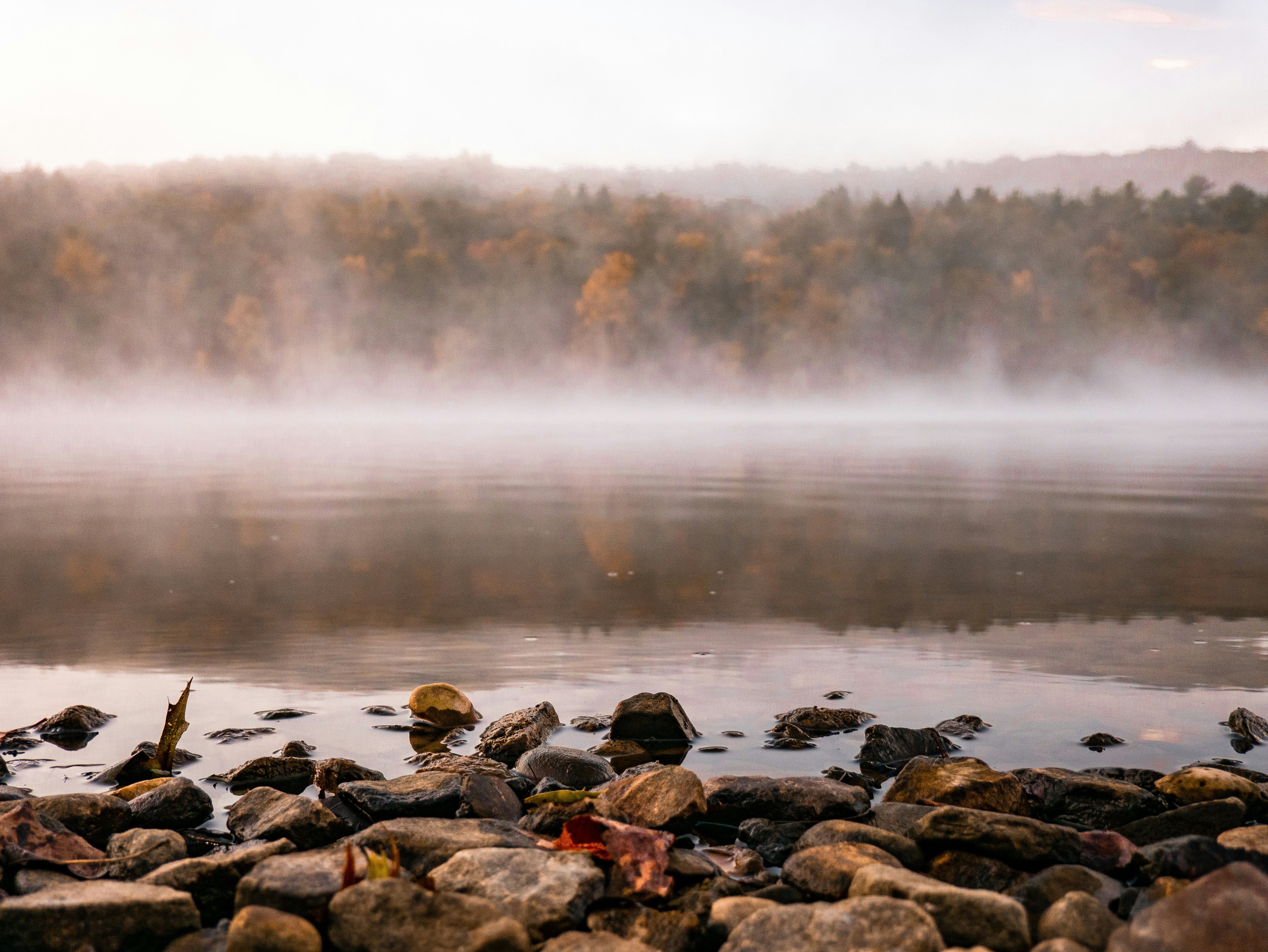 Photo by aaronburden