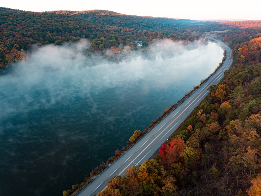 aerial photography of road between body of water and green trees