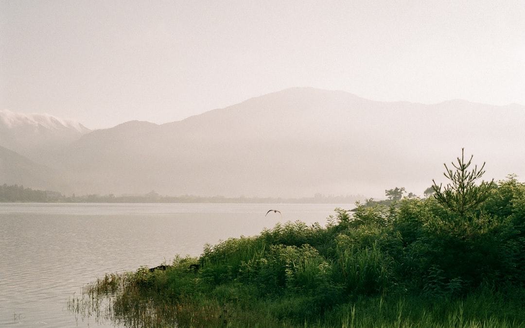 travelers stories about Hill in Lake Kawaguchi, Japan