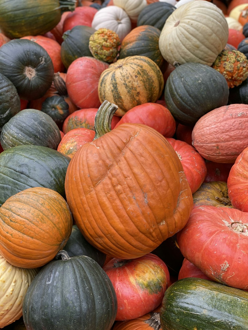 pile of black, gray, red, and orange squash