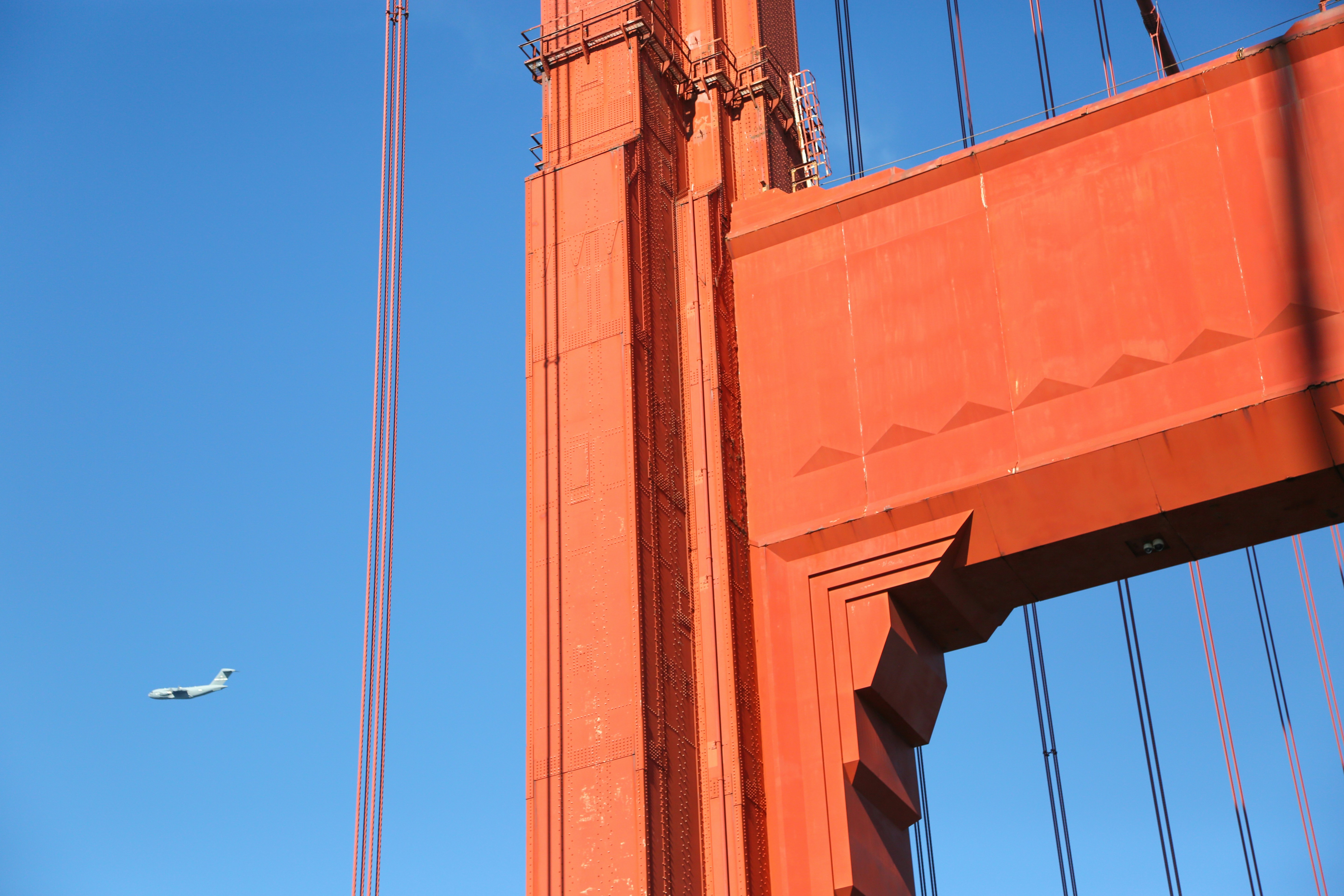 Photo by giorgiotrovato