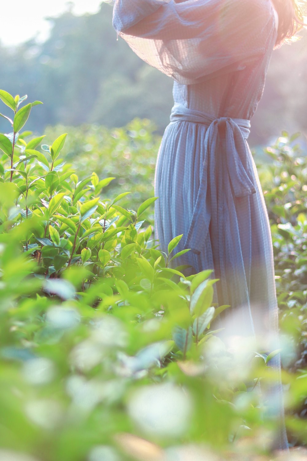 woman standing near grasses