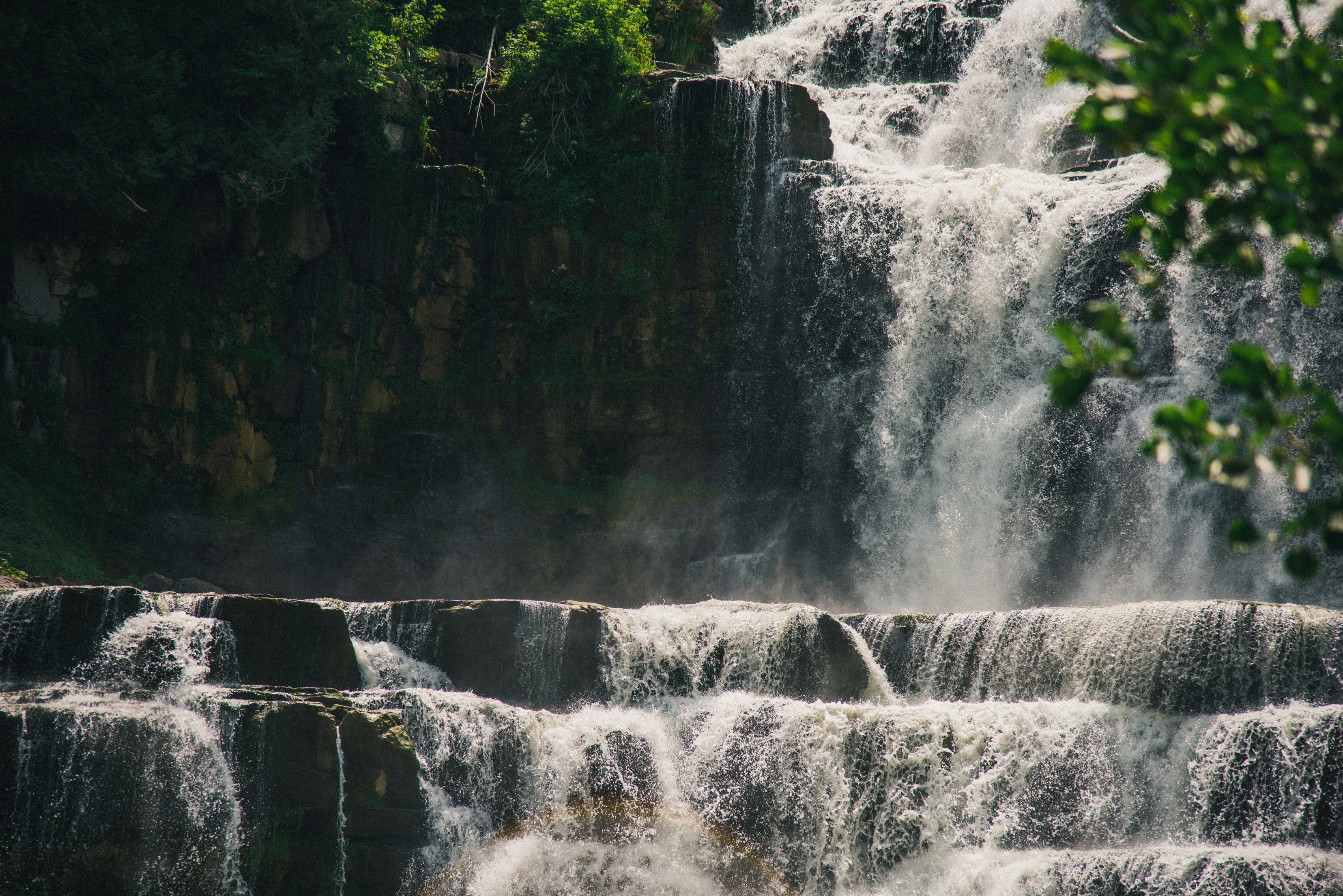 Photo by cameronsanborn