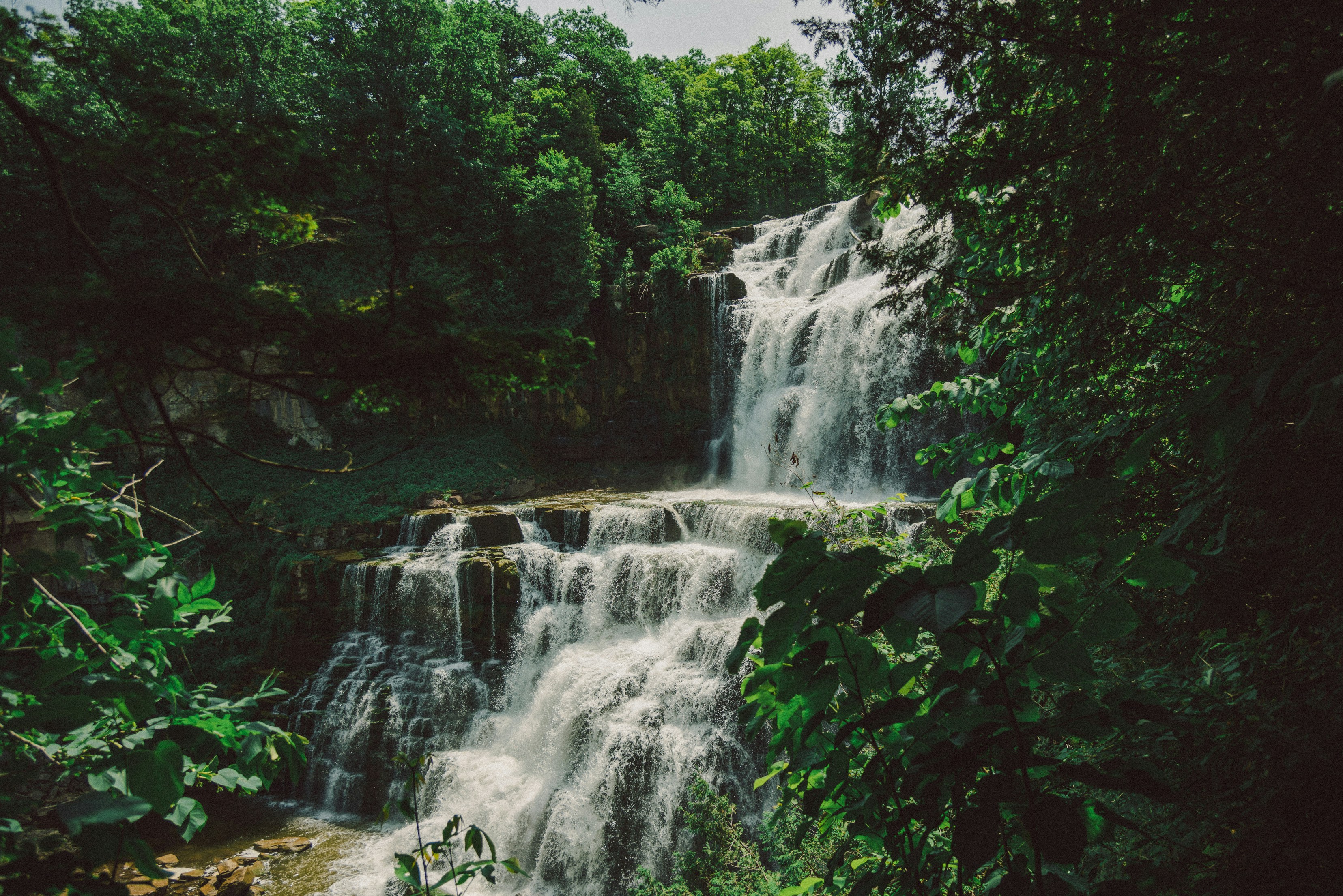 Photo by cameronsanborn