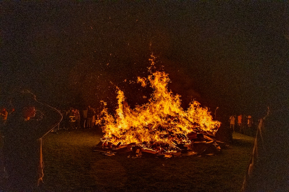 people near big bonfire during night time