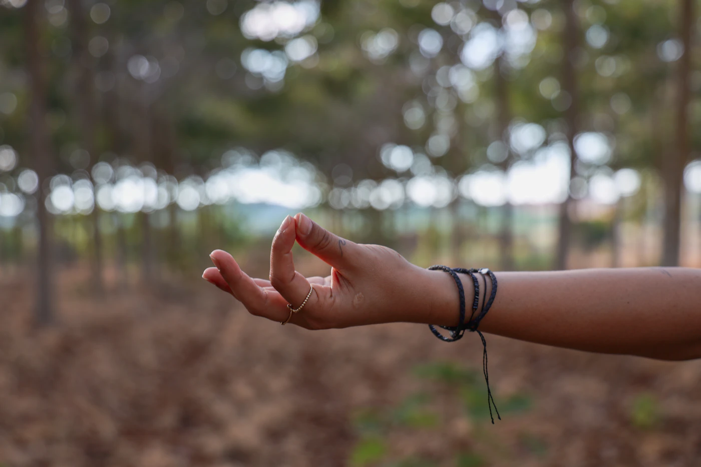 Personne avançant la main dans une forêt, image de présence et de reconnexion à soi