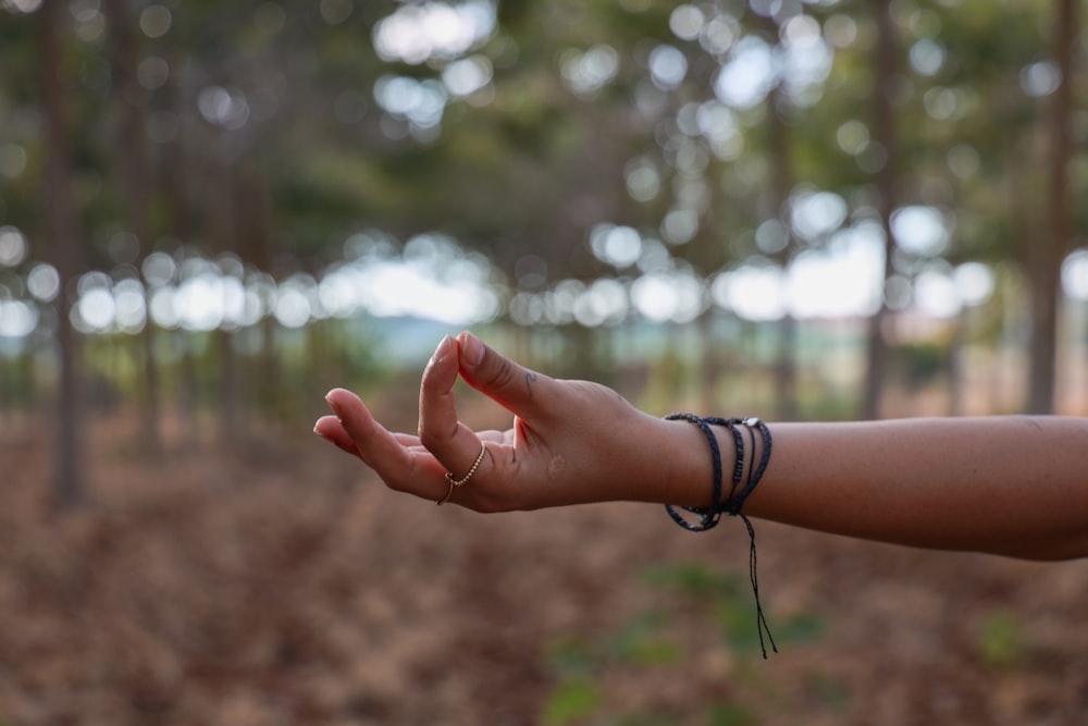 a person holding out their hand in a forest