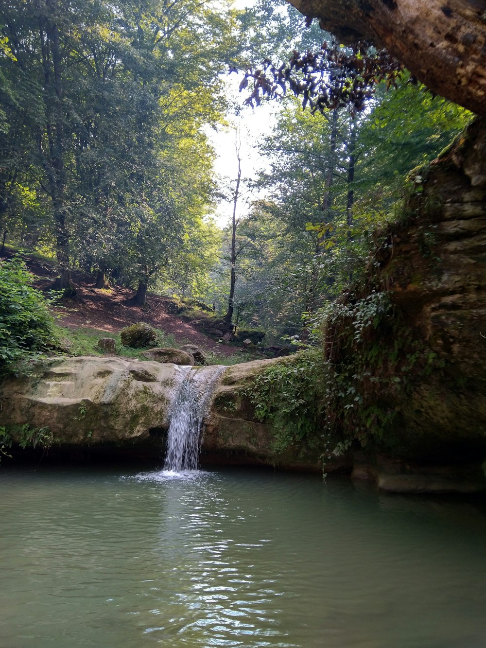 Cascada rodeada de árboles durante el día