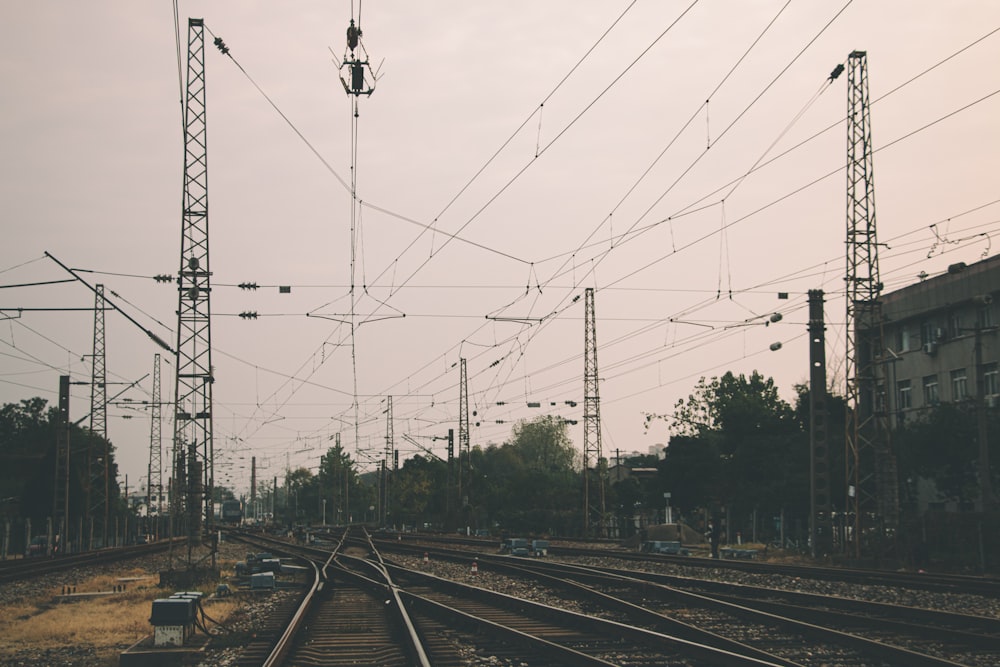 train tracks