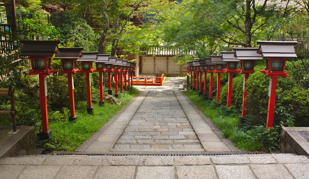 red light posts beside green plants