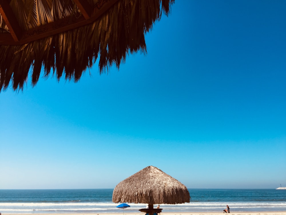 brown hut near ocean