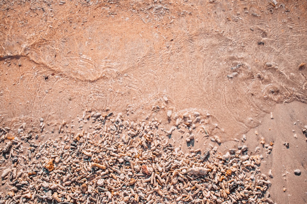 a bunch of sand that is in the sand