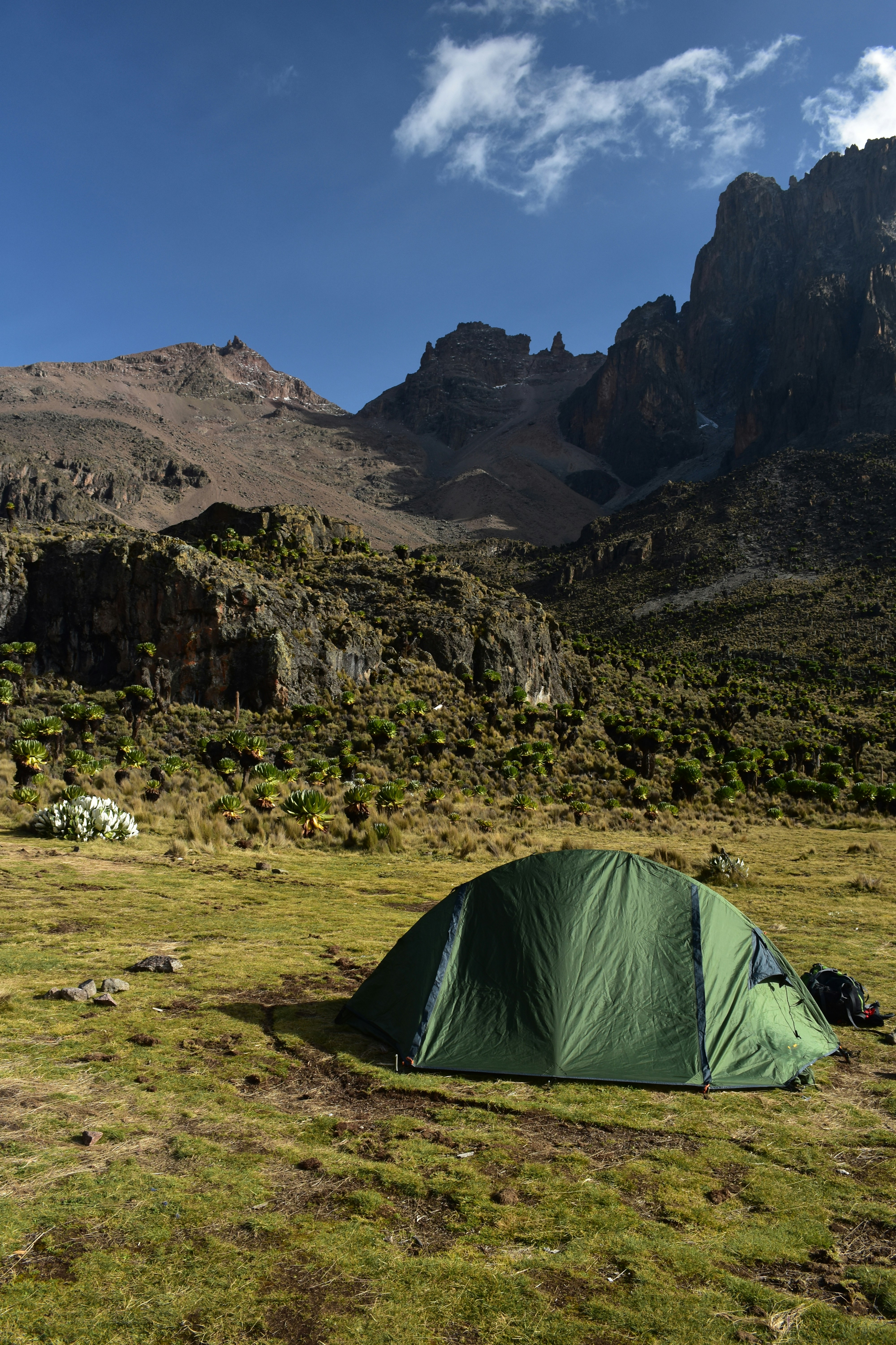 Mount Kenya Besteigung Zelt in Heidelandschaft