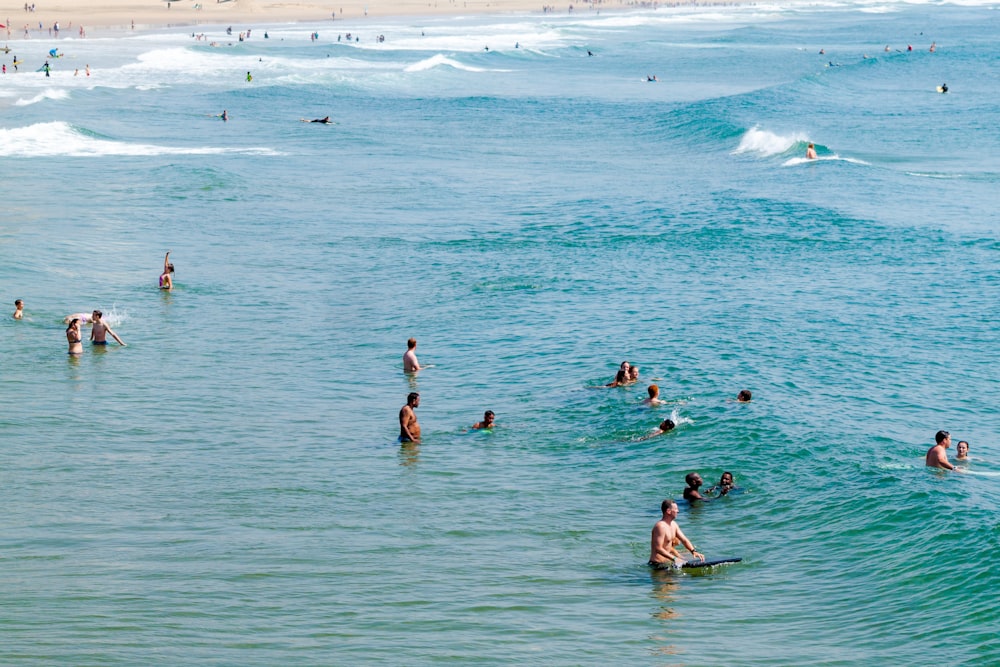 people swimming on ocean