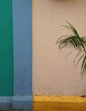 A clean, modern interior wall being expertly painted in rich, deep green tones that reflect the brand colors.