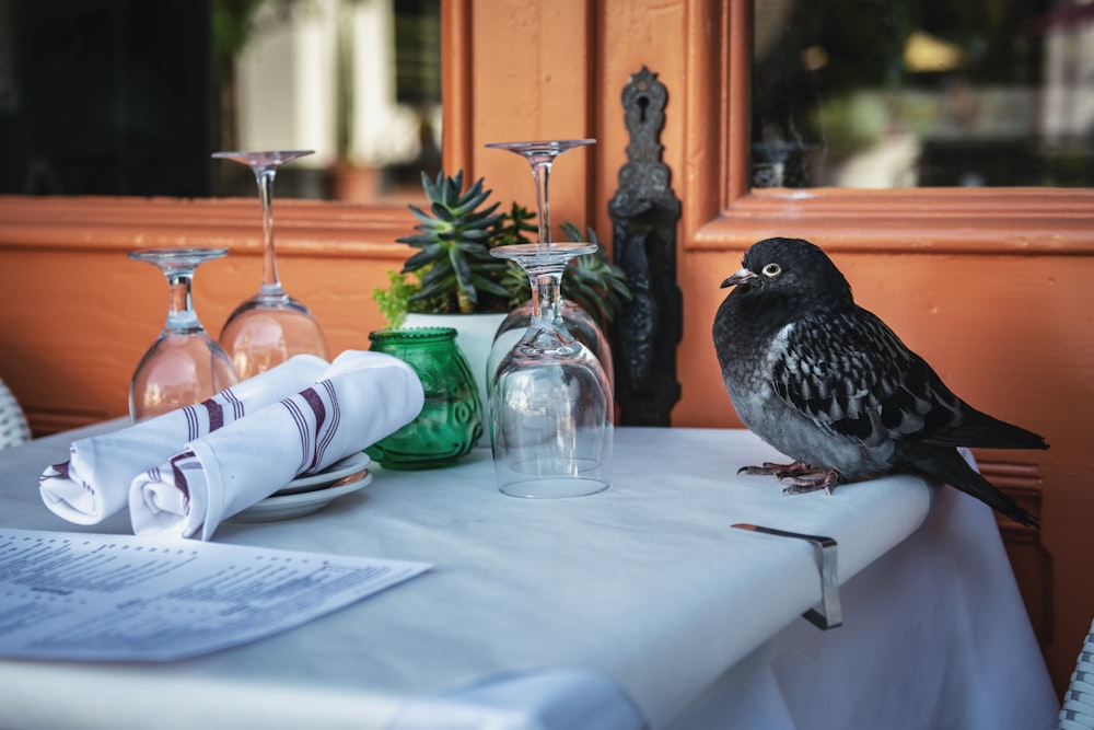 uccello grigio accanto alle bottiglie di vino