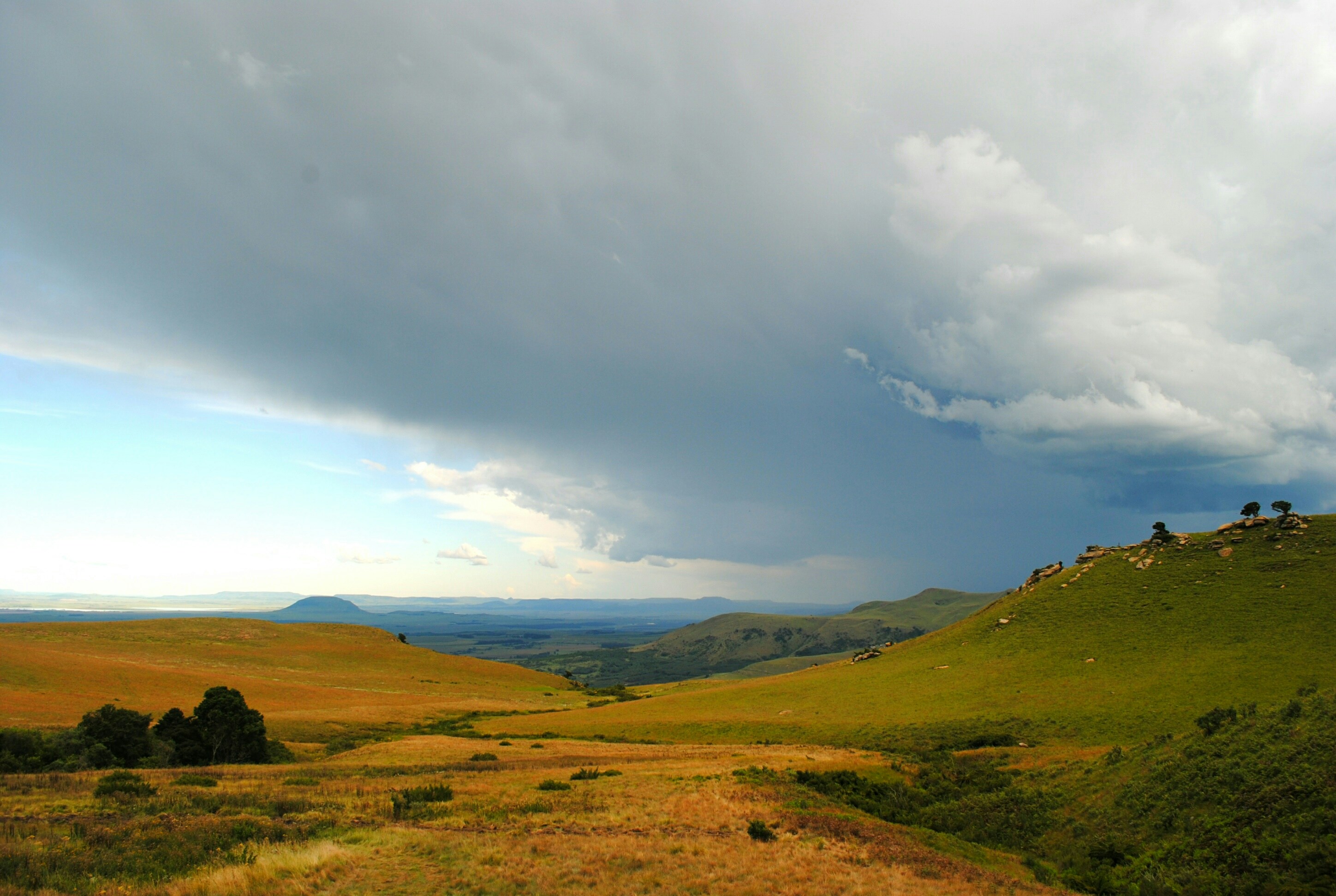 Photo by adaliabotha