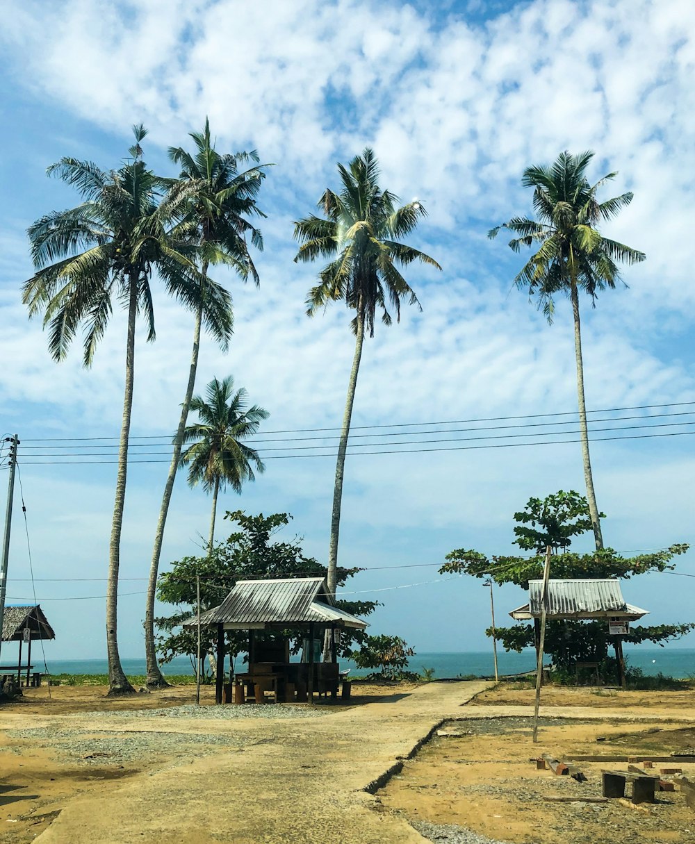 gazebo grigio accanto alle palme da cocco durante il giorno